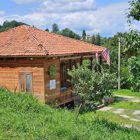 Skijis Sakhli Zenobani Exterior photo